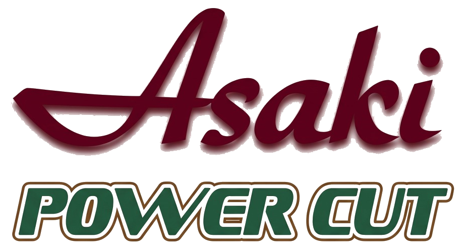Asaki Power Cut - Hakimi International